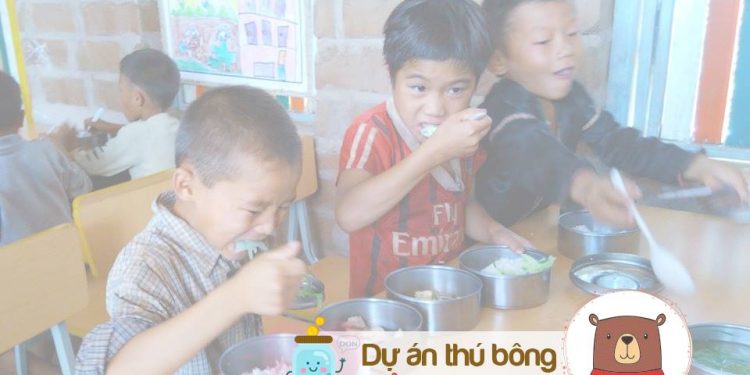 Dự án ấp ủ: Thú Bông Đổi Cơm Trưa